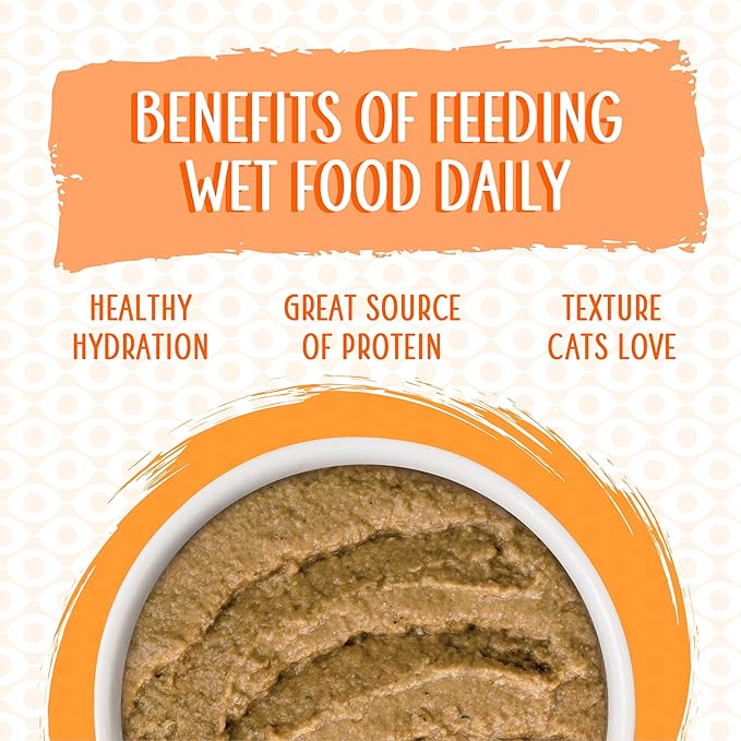 Weruva Wet Cat Food, Love Connection with Chicken and Salmon Pate, 2.8oz Slide N Serve Pouch, Pack of 12 - PAWPICO