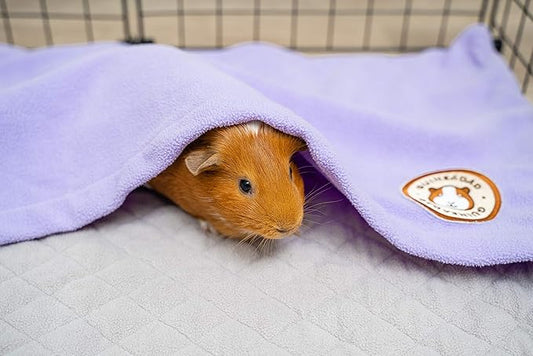 GuineaDad Liner | Guinea Pig Fleece Cage Liners | Guinea Pig Bedding | Burrowing Pocket Sleeve | Extra Absorbent Bamboo | Waterproof Bottom (C&C 2x4, Purple) GuineaDad