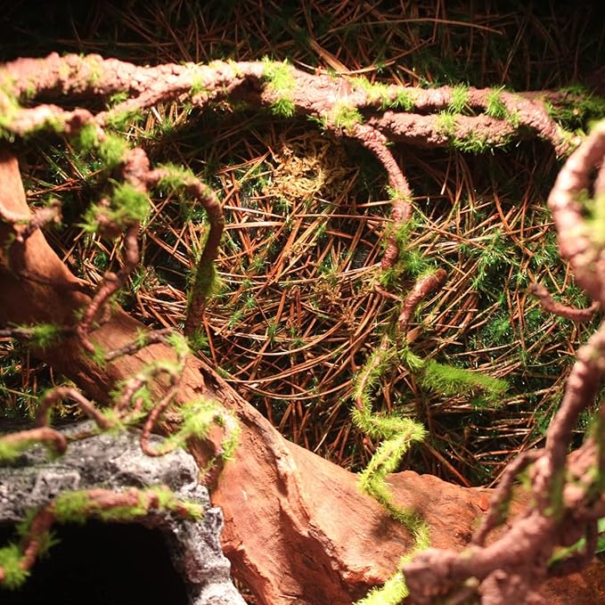 BNOSDM Reptile Bend-A-Branch Vines with Moss Bendable Jungle Climbing Vine Pet Habitat Decor for Bearded Dragons Chameleon Geckos Snakes Lizards Frogs BNOSDM