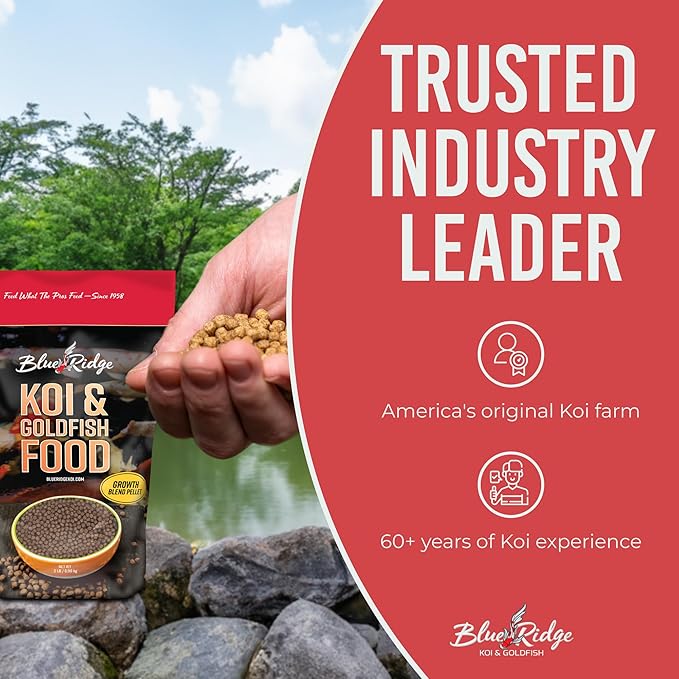 Blue Ridge Koi Fish Food 2lb - Koi Food 3/16” Large and Mini Blend Growth Formula, Goldfish Food, Premium Fish Food for Ponds, Ponds Fish Food, Floating Pond Pellets BlueRidgeFishHatchery