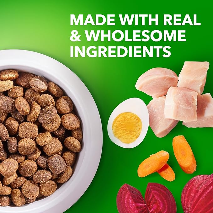 IAMS Adult High Protein Large Breed Dry Dog Food with Real Chicken, 40 lb. Bag - PAWPICO
