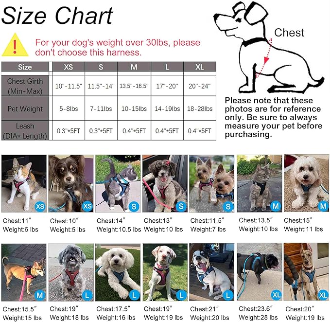 Dog Harness Step-in Breathable Puppy Cat Dog Vest Harnesses for Small Medium Dogs Black - PAWPICO
