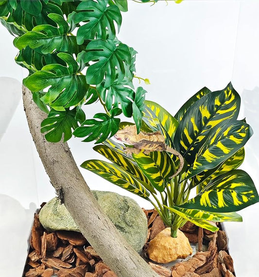 Woyrise Reptile Artificial Plants for Terrarium Decor, Amphibian Habitat Decorations Bearded Dragon Tank Accessories fit Crested Gecko Leopard Lizard Chameleon Ball Python Snake Frog - Prayer Peacock Woyrise