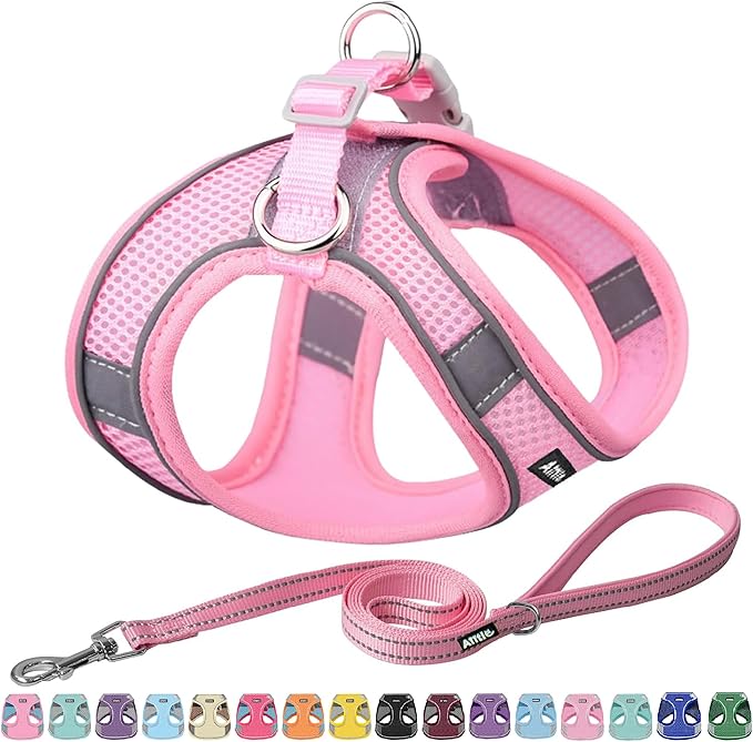 AIITLE Step in Dog Harness and Leash Set - Spring No Pull Escape Proof Vest Harnesses with Soft Mesh and Reflective Bands, Adjustable Pet Outdoor Harnesses for Small and Medium Dogs Pure Pink M AIITLE-FORPETSBETTERLIFE