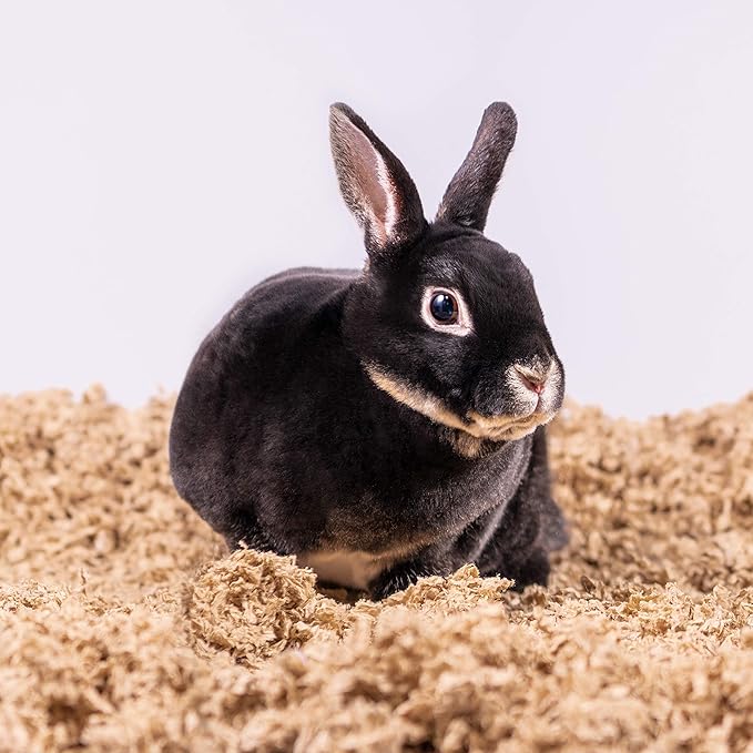 Uber Soft Paper Pet Bedding for Small Animals, Natural, 56L PetsPick%C2%AE