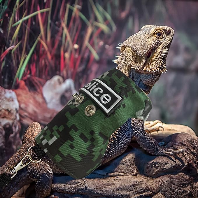 Bearded Dragon Harness and Leash Set - Adjustable Lizard Harness with Replaceable Patch Outdoor Traction Rope Walking Training Leash Reptile Halloween Costume Accessories for Small Pets (Green) SEZDEKI
