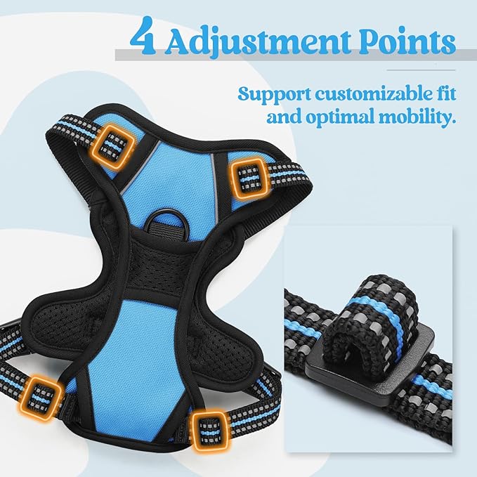 rabbitgoo Dog Harness No Pull with 2 Leash Clips, Adjustable Soft Padded, Reflective Oxford No Choke Pet Vest with Easy Control Handle for Puppy, Blue, XS rabbitgoo