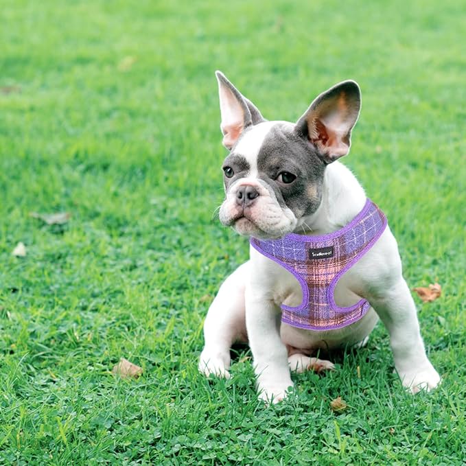 SCENEREAL Puppy Dog Harness with Leash Set for Small Medium Sized Dogs, Soft Mesh Step in Pet Harnesses and Leash, No Chock Plaid Adjustible No Pull Vest for Dogs Cats, Chihuahua,Bulldog (Purple S) SCENEREAL