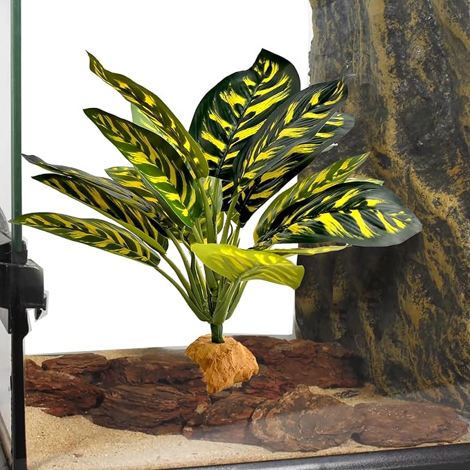 Woyrise Reptile Artificial Plants for Terrarium Decor, Amphibian Habitat Decorations Bearded Dragon Tank Accessories fit Crested Gecko Leopard Lizard Chameleon Ball Python Snake Frog - Prayer Peacock Woyrise