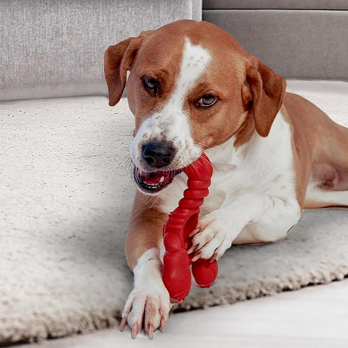 Nylabone Power Chew Lobster Dog Chew Toy, Cute Dog Toys for Aggressive Chewers, Filet Mignon Flavor, X-Large/Souper (1 Count) - PAWPICO