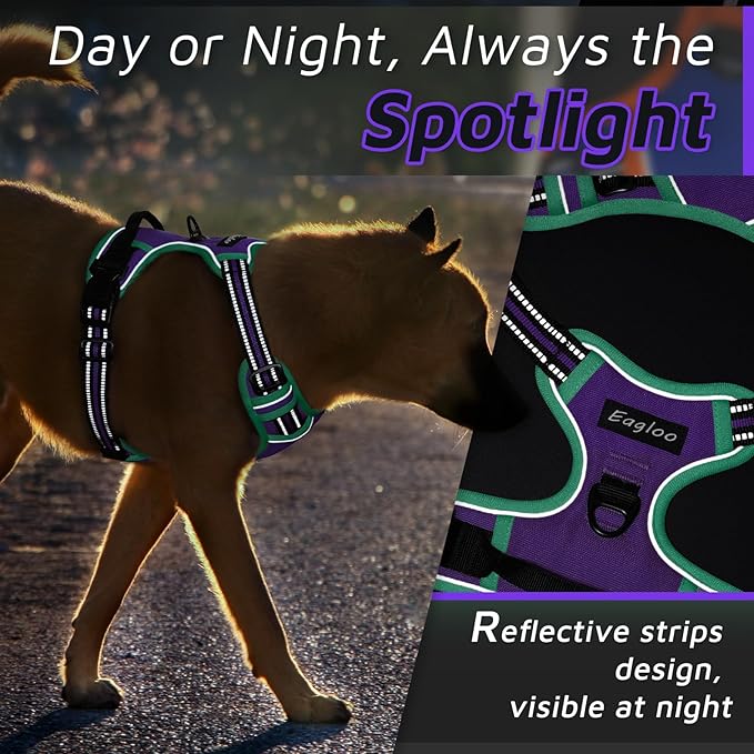 Eagloo Dog Harness for Large Dogs, No Pull Service Vest with Reflective Strips and Control Handle, Adjustable and Comfortable for Easy Walking, No Choke Harness with 2 Metal Rings, Purple & Green, S GoExplorewithEagloo