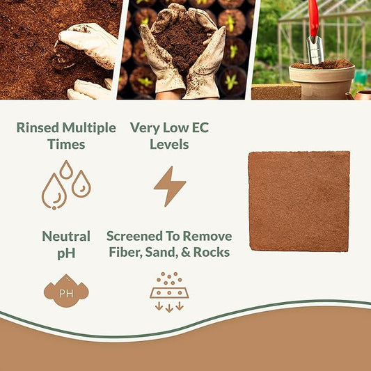 Buffered Coco Bliss (10lbs) - 100% Buffered Coco Coir - Organic Coco Coir for Plants, Garden Soil, & Potting Mixes - Coconut Fiber Substrate Mixes with Potting Soil for Indoor Plants & Outdoor Plants Plantonix