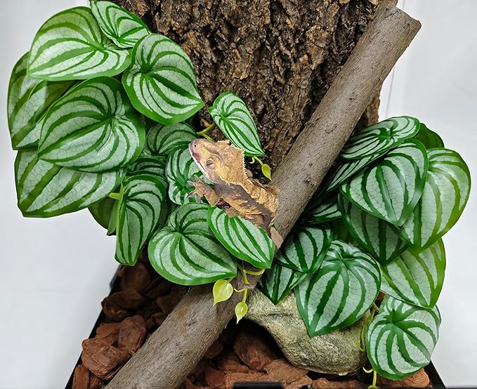 Woyrise 2 Pack Reptile Plants, Terrarium Hanging Plant Vines, Artificial Leaves with Suction Cup, Bearded Dragon Tank Accessories for Gecko Lizard Snake Frog Tortoise Decorations - Calathea Orbifolia Woyrise
