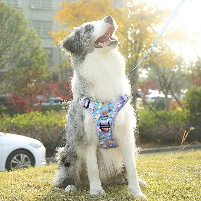 Timos Dog Harness, No-Pull Pet Harness with 2 Leash Clips, Adjustable Soft Padded Dog Vest, Reflective Outdoor Pet Oxford Vest with Easy Control Handle Timos