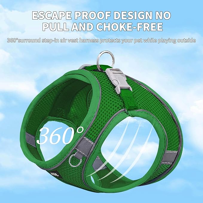 AIITLE Dog Harness, Spring No-Pull Cat Harness with a Leash, Adjustable Reflective Dog Vest, Cat Harness Escape Proof, Outdoor Walking, Camping for Extra Small Dogs and House Cats Green XXXS AIITLE-FORPETSBETTERLIFE