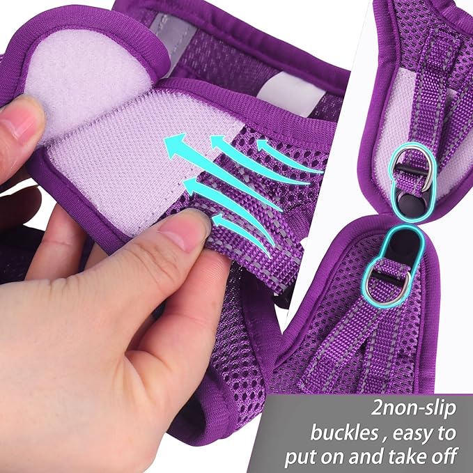 Dog Harness for Small Dogs, Small Dog Harness and Leash Set, Honeycomb Grid, Reflective Lightweight Harness & Anti-Twist Pet Lead,Dog Harness(Multi Color, Size: XS-S-M) (S, Purple) PAWPICO