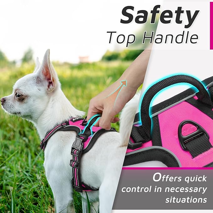 Eagloo Small Dog Harness No Pull, Service Vest with Reflective Strips and Control Handle, Adjustable and Comfortable for Easy Walking, No Choke Pet Harness with 2 Metal Rings, Rose Red, XS GoExplorewithEagloo
