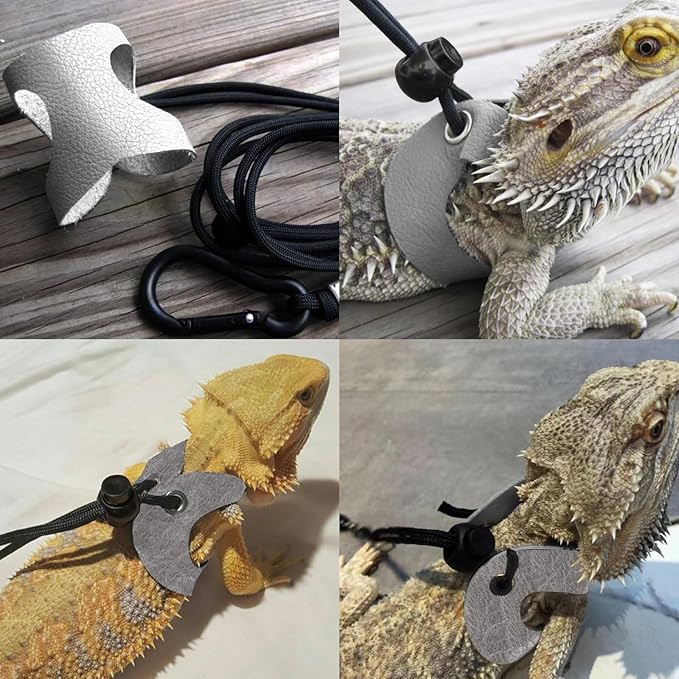 Leopard Gecko Portable Carrier with Leather Harness and Leash Set,Small Animal Travel Cage with Transparent Window,Lizard Carrier for Hamster Rabbit Gerbil Hedgehog Sugar Glider WEVONIGU