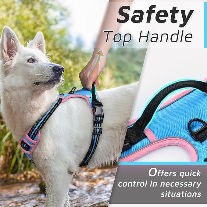 Eagloo Dog Harness for Large Dogs, No Pull Service Vest with Reflective Strips and Control Handle, Adjustable and Comfortable for Easy Walking, No Choke Harness with 2 Metal Rings, Pink & Blue, S GoExplorewithEagloo