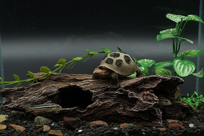 AQUA KT Reptile Hideout Tree Trunk Hollow Log Cork Bark for Lizard Bearded Dragon Snake Chameleon Hermit Crab Leopard Gecko Terrarium Habitat Decoration AQUAKT