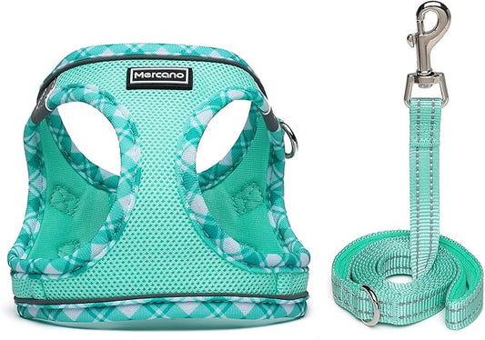 Mercano Soft Mesh Dog Harness and Leash Set, No-Chock Step-in Reflective Breathable Lightweight Easy Walk Escape Proof Vest Harnesses with Safety Buckle for Small Medium Dogs, Cats (Light Green, XL) PAWPICO
