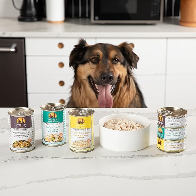 Weruva Classic Dog Food, Marbella Paella with Mackerel & Pumpkin in Aspic, 5.5Oz Can (Pack of 24) - PAWPICO