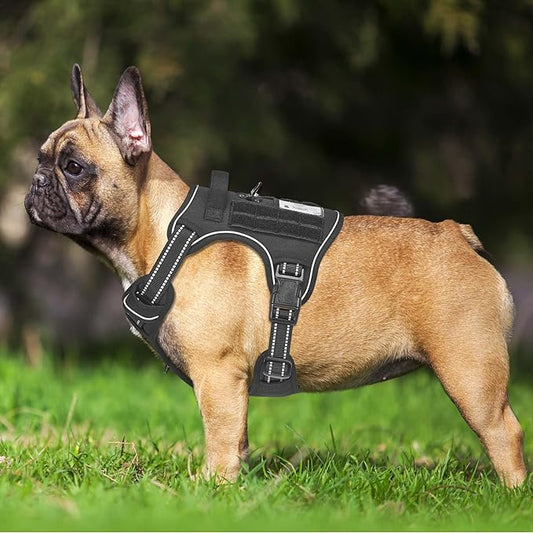 Heavy Duty Tactical Dog Harness for Small Dogs, No Pull Adjustable Pet Harness Reflective Service Training Easy Control Pet Vest Military K9 Working Dog Harnesses- Small, Black Beebielove