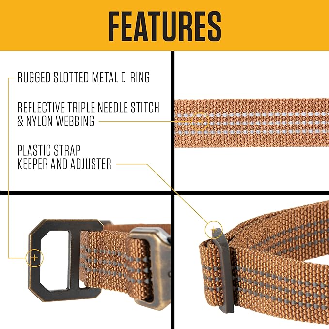 Carhartt Fully Adjustable Nylon Webbing Collars for Dogs, Reflective Stitching for Visibility, Black (Nylon Webbing), Medium Carhartt