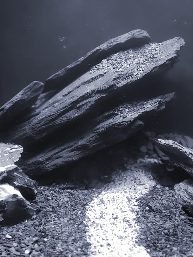 Natural Slate Stones 8 to 10 Inches - USA Sourced and Packaged for Aquascaping Aquariums, Terrariums, Paludariums, Reptile Enclosures, and Gardens (8-9 lbs) SmallWorldSlateandStone