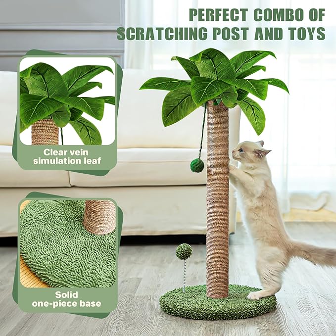 Dohump Cat Scratching Post, 26" Kitten Scratching Post with Premium Sisal Rope, Cute Cat Tree with Dangling and Spring Ball Toys for Indoor Small Cats - PAWPICO