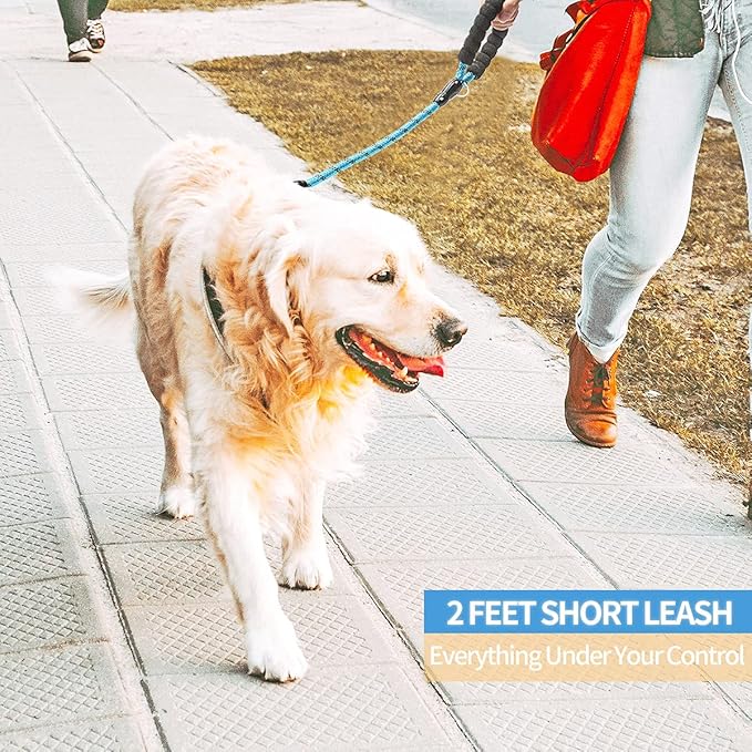 BAAPET 2/4/5/6 FT Dog Leash with Comfortable Padded Handle and Highly Reflective Threads for Small Medium and Large Dogs (2FT-1/2'', Blue) - PAWPICO