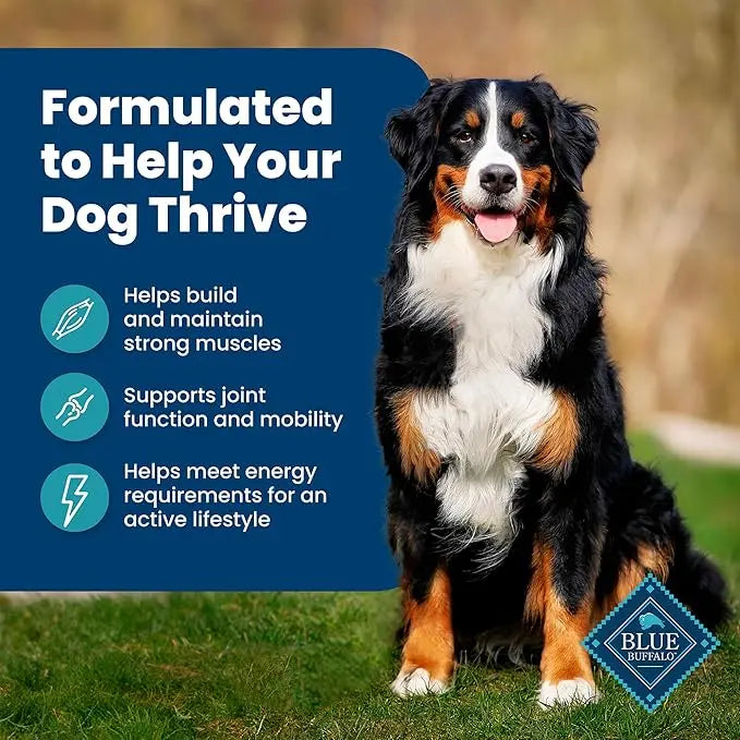 Blue Buffalo Life Protection Formula Adult Dry Dog Food, Helps Build and Maintain Strong Muscles, Made with Natural Ingredients, Fish & Brown Rice Recipe, 30-lb. Bag - PAWPICO
