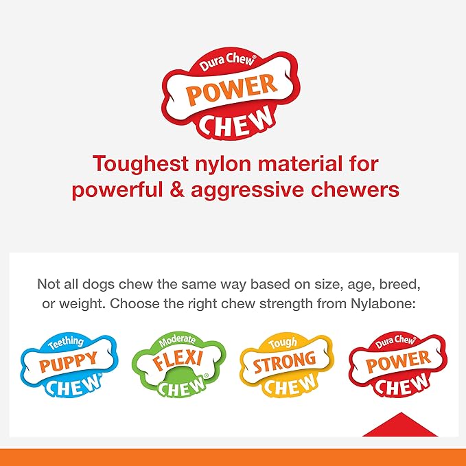 Nylabone Power Chew Lobster Dog Chew Toy, Cute Dog Toys for Aggressive Chewers, Filet Mignon Flavor, Small/Regular (1 Count) - PAWPICO