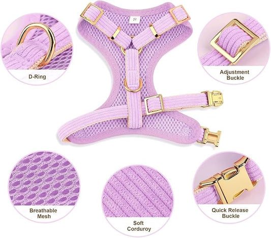 Didog Cute Small Dog Harness Collar & Leash Set, Adjustable Dog Collars and Leashes with Bowtie, Breathable Soft Mesh Padded Dog Vest for Puppies Small Dogs Walking, Purple, S Didog