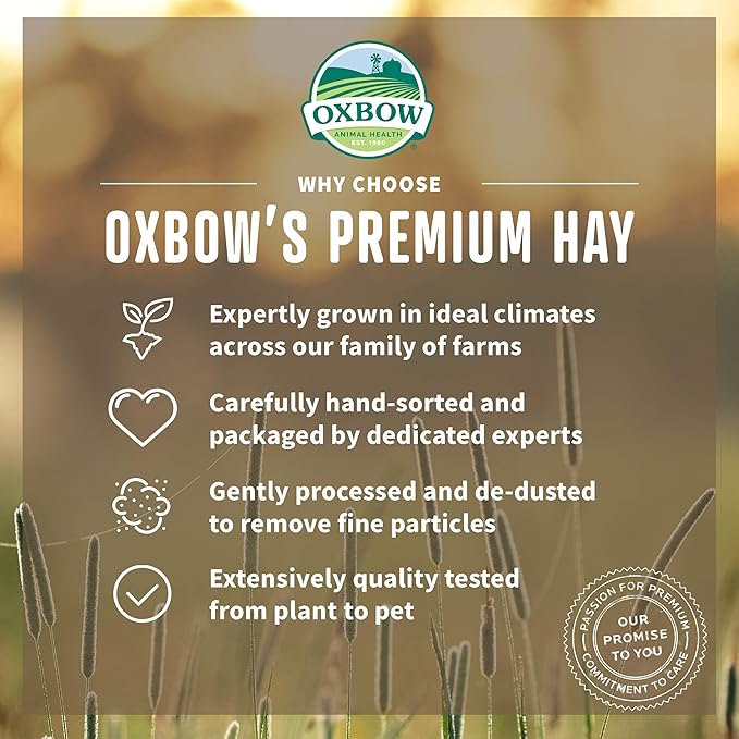 Oxbow Animal Health Oxbow Botanical Western Timothy Hay - All Natural Hay for Rabbits, Guinea Pigs, Chinchillas, Hamsters & Gerbils - 15 oz. OxbowAnimalHealth