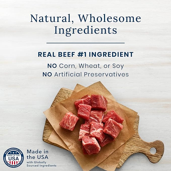 Blue Buffalo Nudges Grillers Natural Dog Treats, Beef, 16oz - PAWPICO