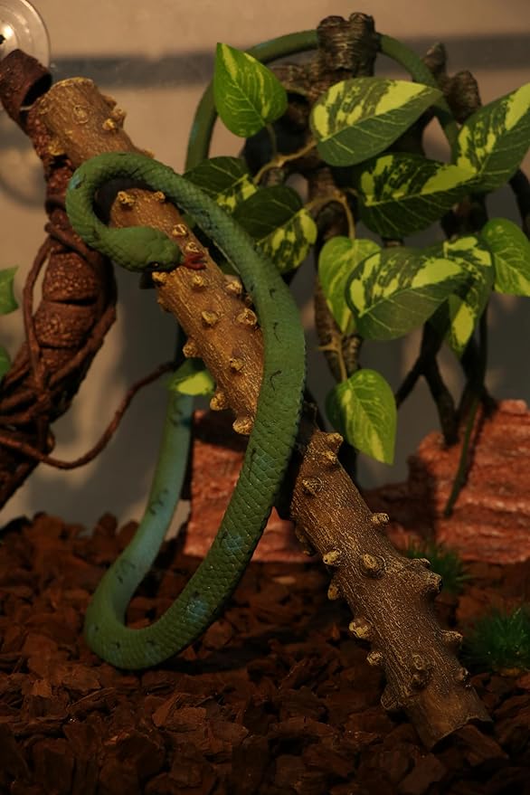 AQUA KT Reptile Climbing Corner Stick Branch Rain Forest Style for Snake Lizard Hermit Crab Bearded Dragon Terrarium Habitat Decoration AQUAKT