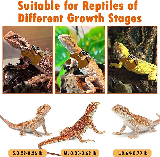 PINVNBY 3 Size Bearded Dragon Leash and Harness Set Adjustable Bearded Dragon Harness with Lizard Traction Rope Mini Scooter Toy for Bearded Dragon Lizard Reptile to Walking Outdoor PINVNBY