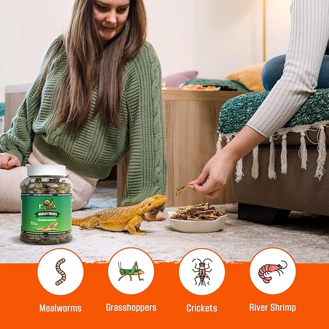 Medley Treat Bearded Dragon Food - Freeze Dried Mealworms, Grasshoppers, Crickets, Quality Tested, Vitamin & Calcium Enriched, Essential Proteins, Fats & Minerals - for Bearded Dragons, Reptiles 6 oz Freshinsects