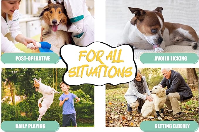 Dog Front Leg Brace Ankle Support for Forelilmb, Canine Dog Wrist Brace Splint, Protects Foreleg Carpus Joint Wounds Heals, Helps with Loss of Stability Caused by Arthritis Lyderpet