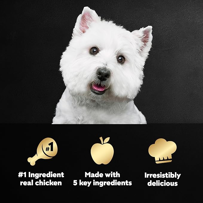 CESAR SIMPLY CRAFTED Adult Wet Dog Food Meal Topper, Chicken, Sweet Potato, Apple, Barley & Spinach, 1.3oz., Pack of 10 - PAWPICO