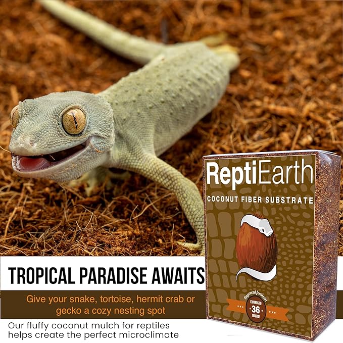 ReptiEarth Reptile Bedding, Fluffy Coconut Fiber Substrate 12 Quart Organic Coco Ready to Use for Bioactive Snake Terrarium, Lizard Tanks with Plants, for Frog, Tarantula or Hermit Crab Habitat (2 Pk) ReptiChipPremiumSubstrate
