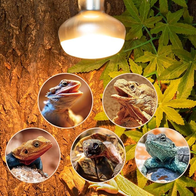 REPTI ZOO 2 Pack Heat Lamp 150W, Intense Basking Spot Simulated Natural Sunlight Heating Lamp Bulb, Heat Emitter UVA Heat Lamp Bulb for Reptile Chickens Pet Brooder REPTIZOO