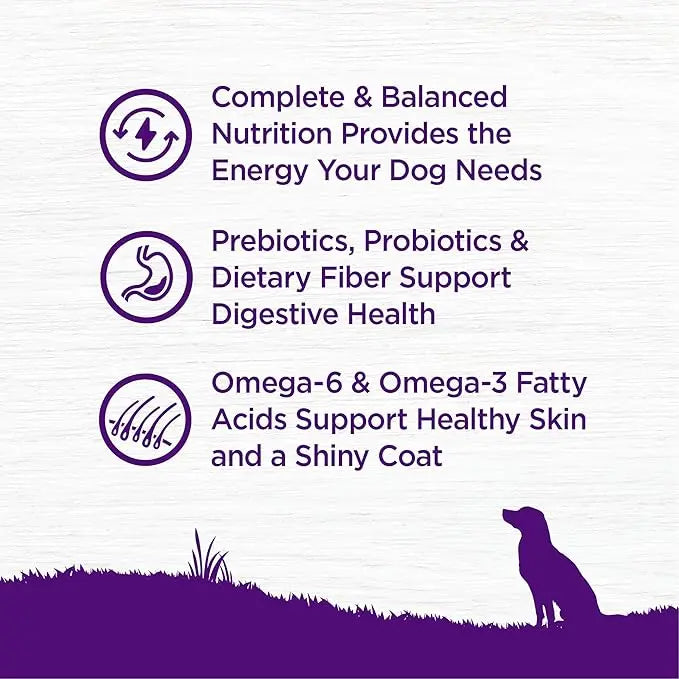 Wellness Complete Health Adult Dry Dog Food, Deboned Chicken & Oatmeal Recipe, 26 Pound Bag - PAWPICO