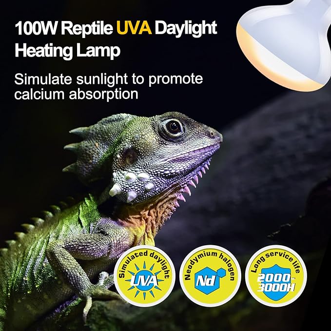 REPTI ZOO 100W Reptile Heat Lamp Bulbs Combo, Upgraded 2 Pack Day & Night Basking Spot Light, UVA Daylight Heating Lamp & Infrared Heat Lamp for Reptiles & Amphibians REPTIZOO