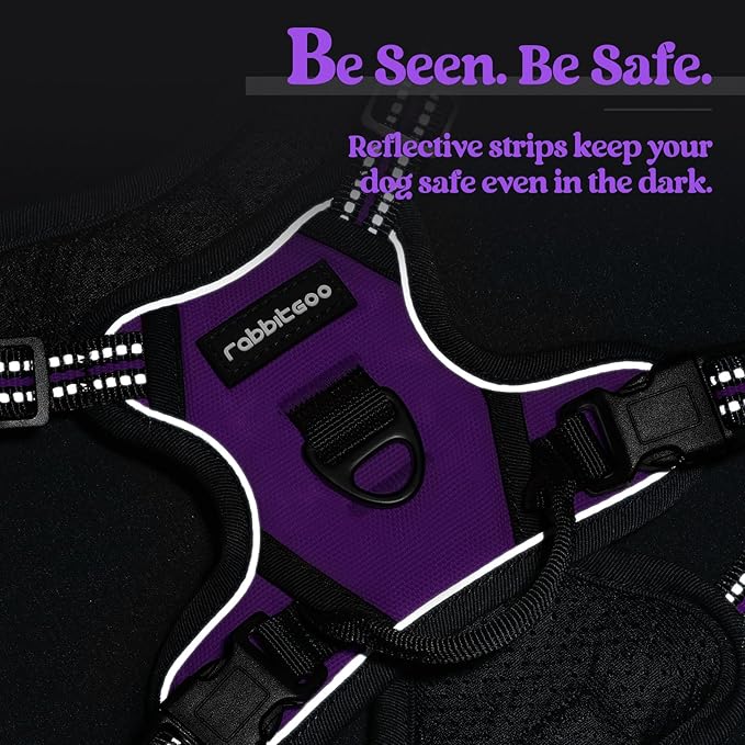 rabbitgoo Dog Harness No Pull with 2 Leash Clips, Adjustable Soft Padded, Reflective Oxford No Choke Pet Vest with Easy Control Handle for Puppy, Purple,XS rabbitgoo