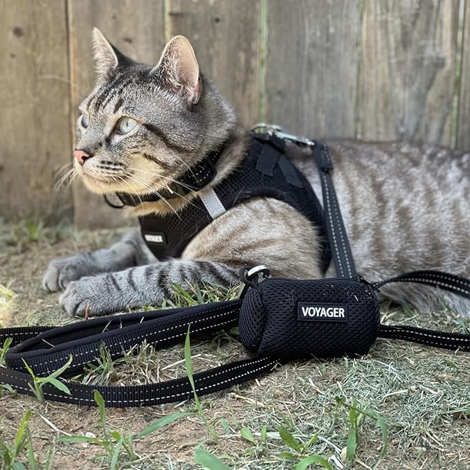 Voyager Step-in Air Dog Harness - All Weather Mesh, Reflective, No Pull Harness for Small, Medium Dogs, Cats - Secure with Hook & Loop Fastener, Buckle, Double D-Rings - Black, L BestPetSuppliesLLC