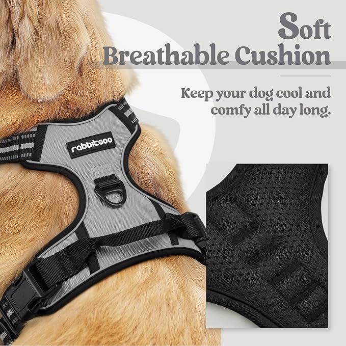 rabbitgoo Dog Harness No Pull with 2 Leash Clips, Adjustable Soft Padded, Reflective Oxford No Choke Pet Vest with Easy Control Handle for Medium Sized Dogs, Grey, M rabbitgoo