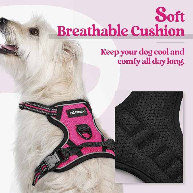 rabbitgoo Dog Harness No Pull with 2 Leash Clips, Adjustable Soft Padded, Reflective Oxford No Choke Pet Vest with Easy Control Handle for Puppy, Hot Pink, XS rabbitgoo