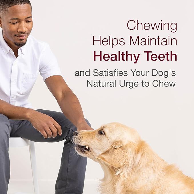 SmartBones SmartSticks, Treat Your Dog to a Rawhide-Free Chew Made With Real Chicken and Vegetables, 10 sticks - PAWPICO